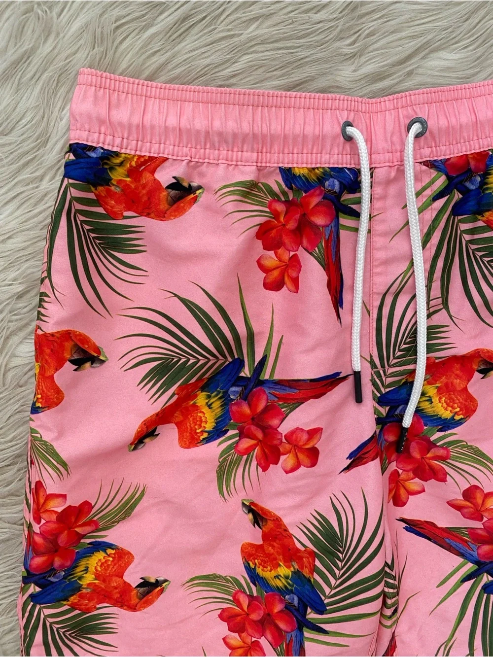 Neff brodie bird